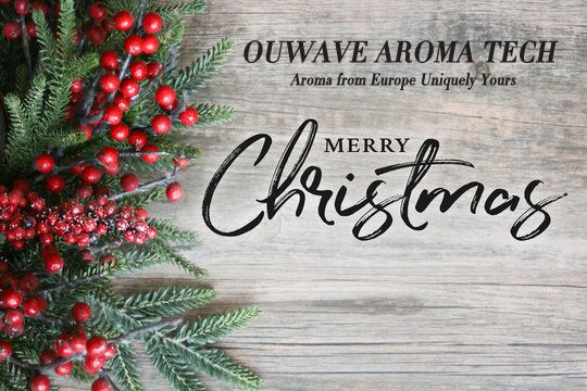 Merry Christmas and happy New Year!